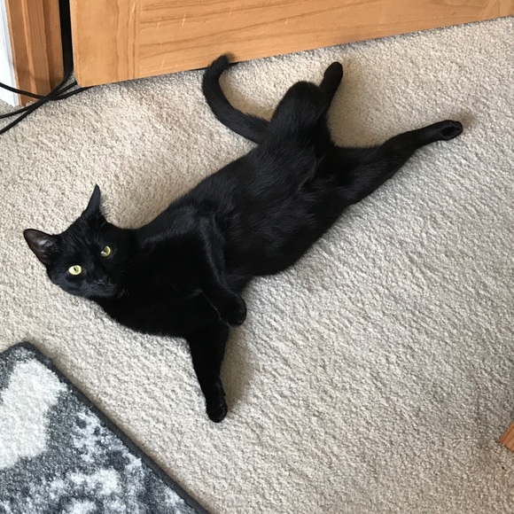 Shop our mom's closet! 😻😻😻 - Picture 16 of 16